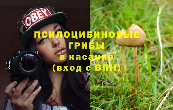 альфа пвп Белокуриха